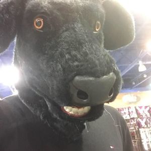 Meet your Posher, Kevin